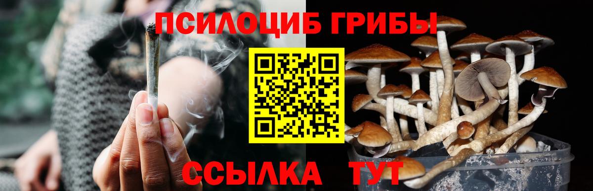 Галлюциногенные грибы ЛСД Киселёвск