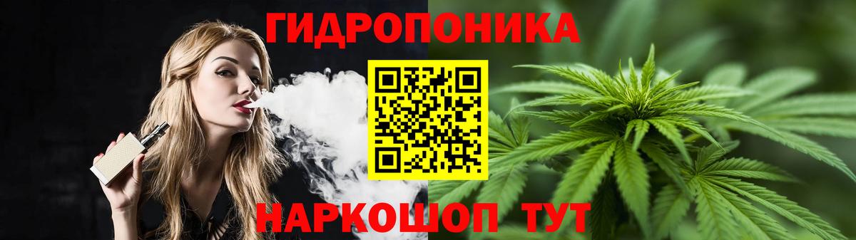 Бошки марихуана семена Киселёвск